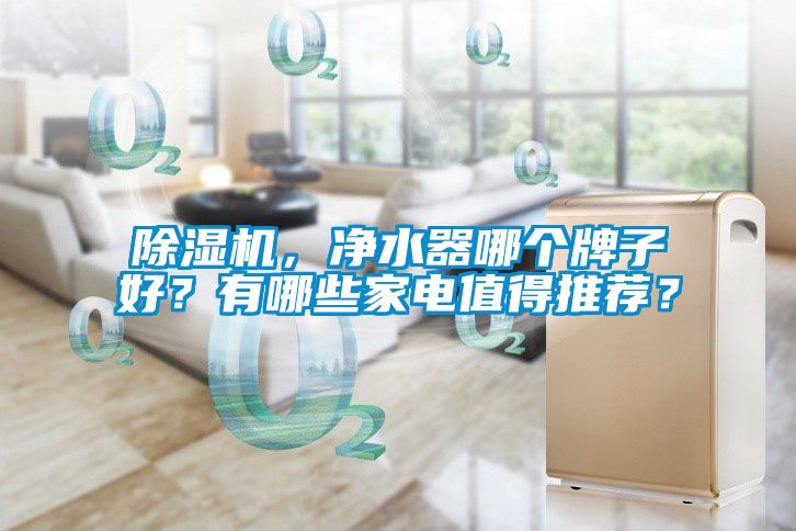 除濕機(jī)，凈水器哪個牌子好？有哪些家電值得推薦？