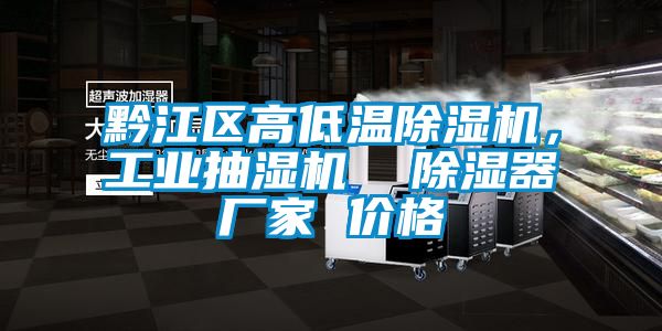 黔江區(qū)高低溫除濕機，工業(yè)抽濕機  除濕器廠家 價格