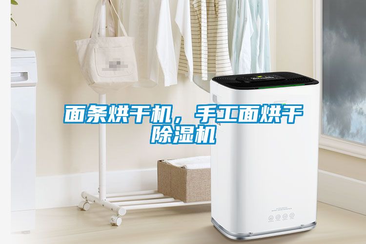 面條烘干機(jī)，手工面烘干除濕機(jī)