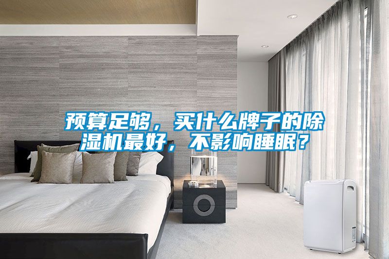 預(yù)算足夠，買什么牌子的除濕機(jī)最好，不影響睡眠？