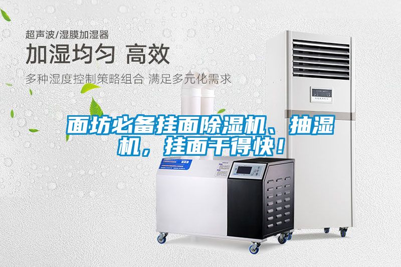 面坊必備掛面除濕機(jī)、抽濕機(jī)，掛面干得快！