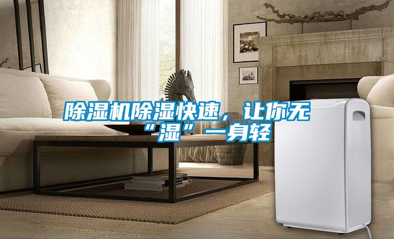 除濕機除濕快速，讓你無“濕”一身輕