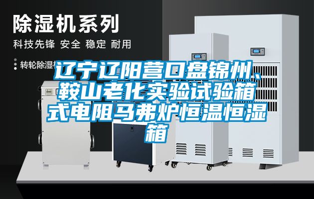 遼寧遼陽(yáng)營(yíng)口盤(pán)錦州、鞍山老化實(shí)驗(yàn)試驗(yàn)箱式電阻馬弗爐恒溫恒濕箱
