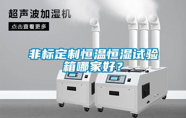 非標(biāo)定制恒溫恒濕試驗(yàn)箱哪家好？