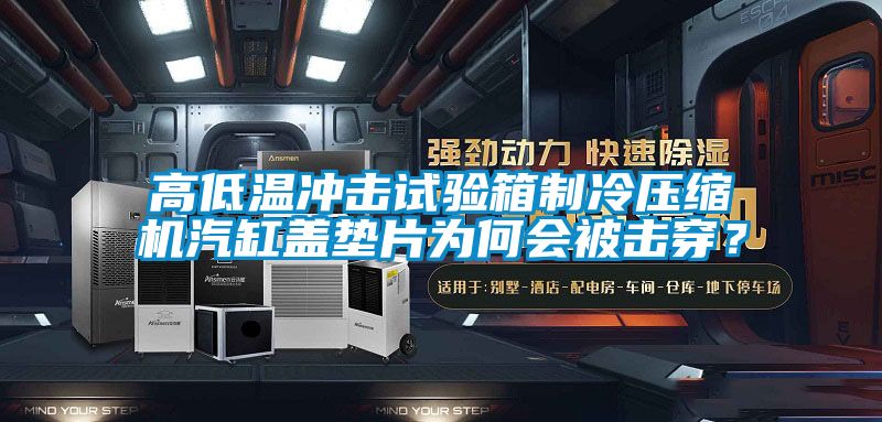 高低溫沖擊試驗箱制冷壓縮機汽缸蓋墊片為何會被擊穿？