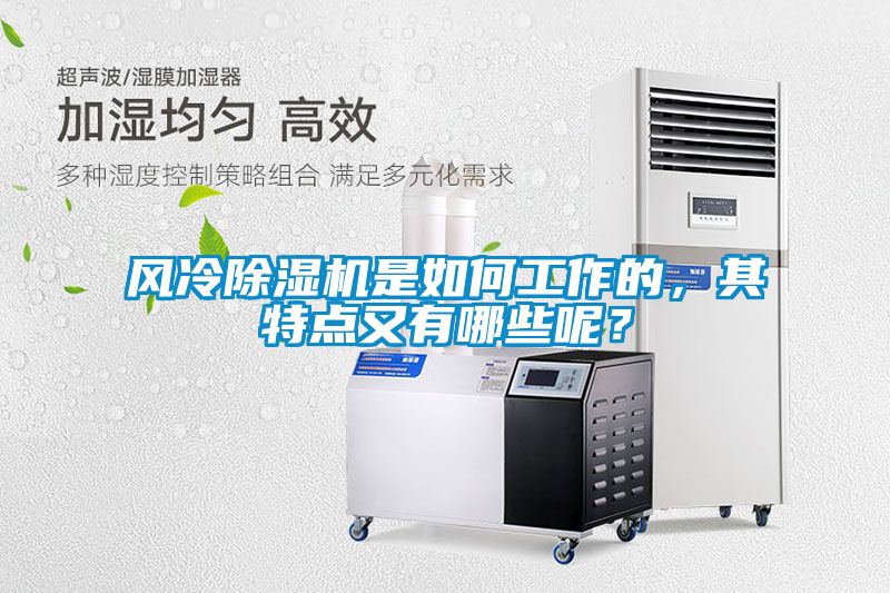 風冷除濕機是如何工作的，其特點又有哪些呢？