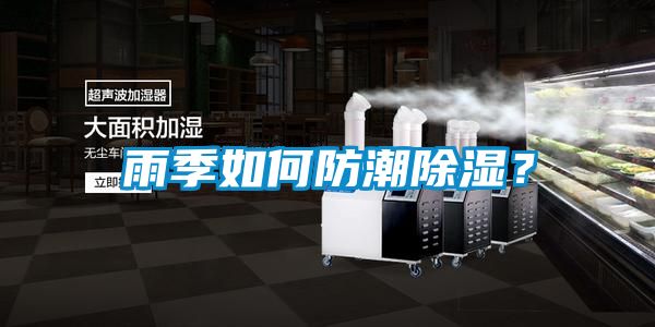 雨季如何防潮除濕？