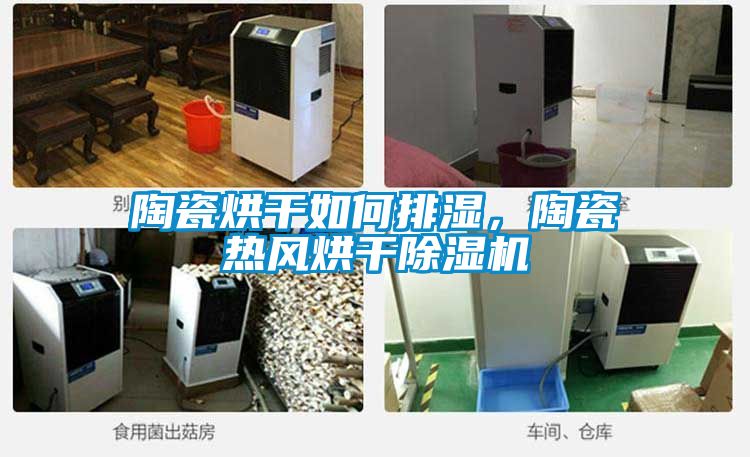 陶瓷烘干如何排濕，陶瓷熱風(fēng)烘干除濕機(jī)