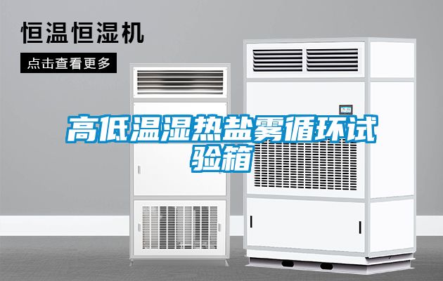 高低溫濕熱鹽霧循環(huán)試驗箱