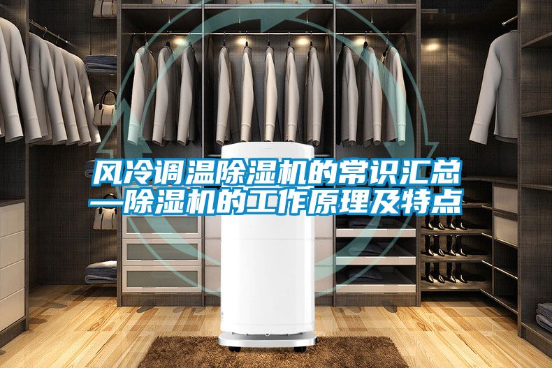 風冷調(diào)溫除濕機的常識匯總—除濕機的工作原理及特點