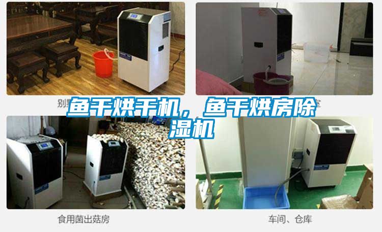 魚干烘干機(jī)，魚干烘房除濕機(jī)