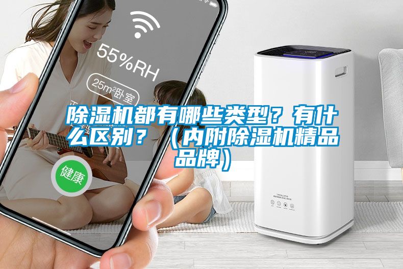 除濕機(jī)都有哪些類型？有什么區(qū)別？（內(nèi)附除濕機(jī)精品品牌）