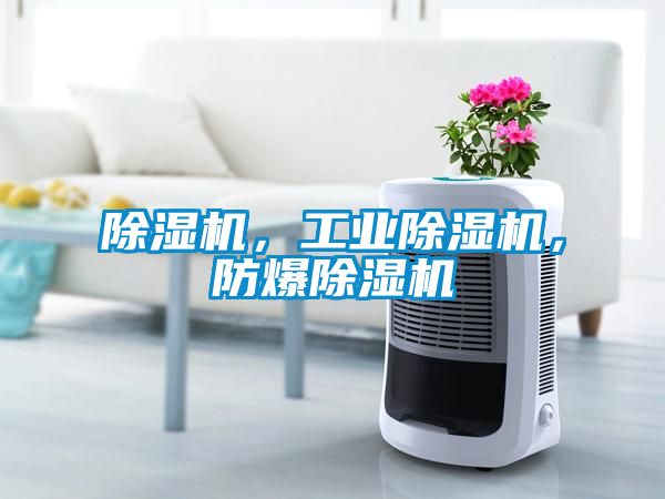 除濕機(jī)，工業(yè)除濕機(jī)，防爆除濕機(jī)