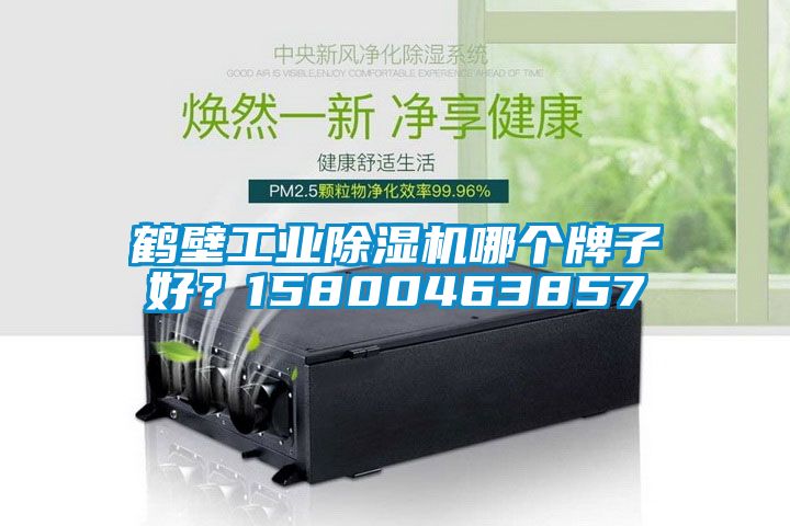 鶴壁工業(yè)除濕機(jī)哪個(gè)牌子好？15800463857