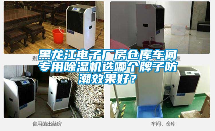 黑龍江電子廠房倉(cāng)庫(kù)車間專用除濕機(jī)選哪個(gè)牌子防潮效果好？