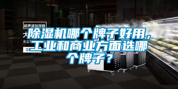 除濕機(jī)哪個(gè)牌子好用，工業(yè)和商業(yè)方面選哪個(gè)牌子？
