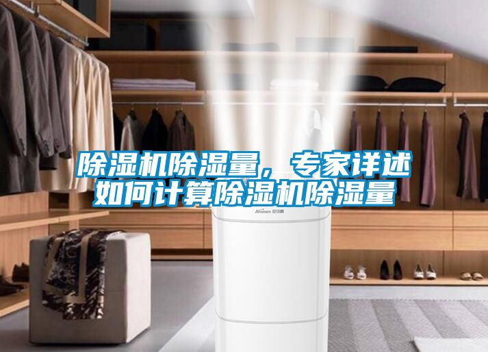 除濕機除濕量，專家詳述如何計算除濕機除濕量