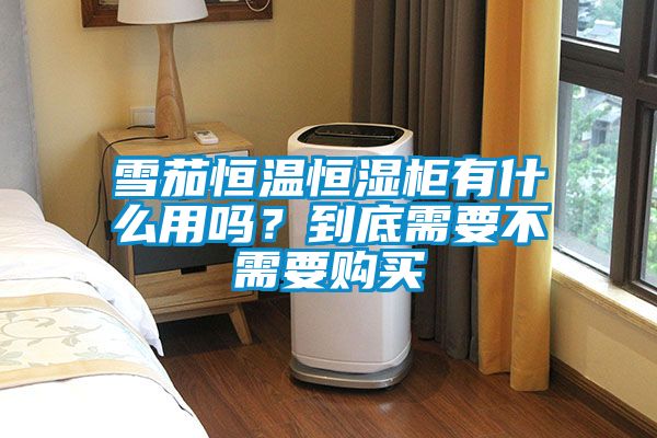 雪茄恒溫恒濕柜有什么用嗎？到底需要不需要購(gòu)買(mǎi)
