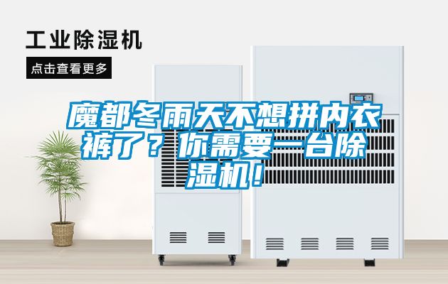 魔都冬雨天不想拼內(nèi)衣褲了？你需要一臺(tái)除濕機(jī)！