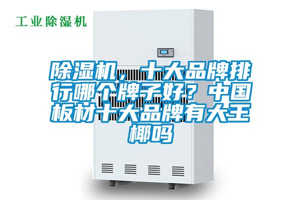 除濕機(jī)，十大品牌排行哪個牌子好？中國板材十大品牌有大王椰嗎