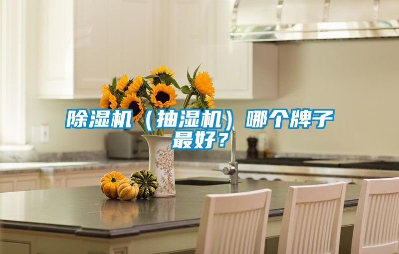 除濕機（抽濕機）哪個牌子最好？
