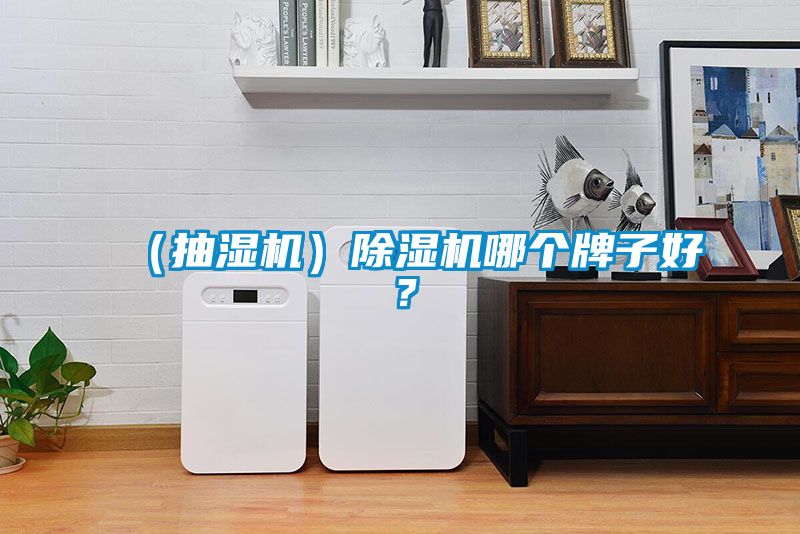 （抽濕機）除濕機哪個牌子好？