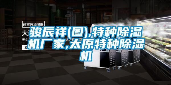 駿辰祥(圖),特種除濕機(jī)廠(chǎng)家,太原特種除濕機(jī)