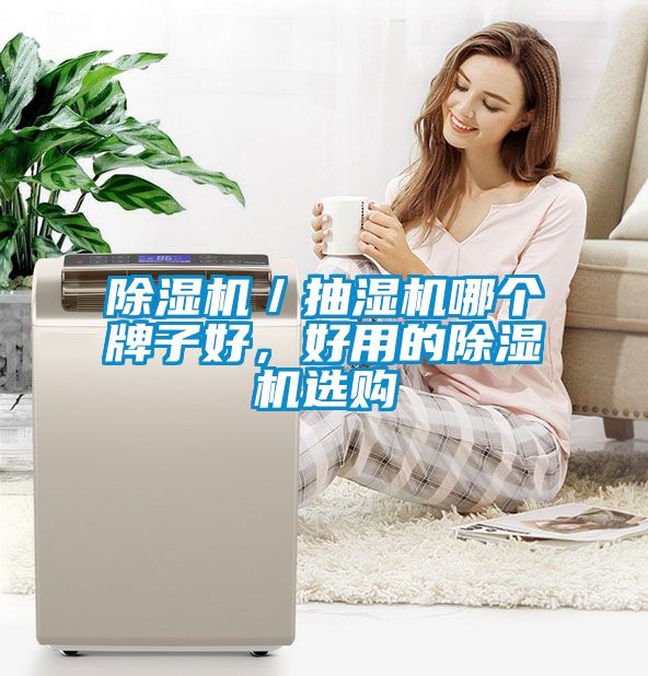 除濕機(jī)／抽濕機(jī)哪個牌子好，好用的除濕機(jī)選購