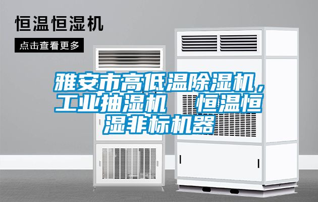 雅安市高低溫除濕機，工業(yè)抽濕機  恒溫恒濕非標(biāo)機器