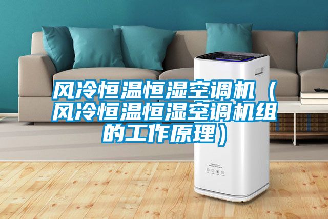 風(fēng)冷恒溫恒濕空調(diào)機(jī)（風(fēng)冷恒溫恒濕空調(diào)機(jī)組的工作原理）