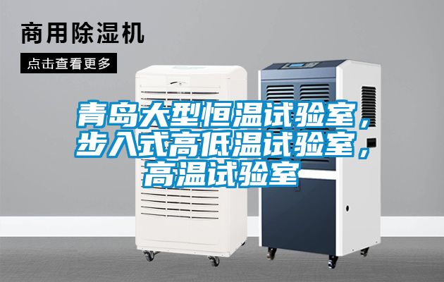 青島大型恒溫試驗室，步入式高低溫試驗室，高溫試驗室