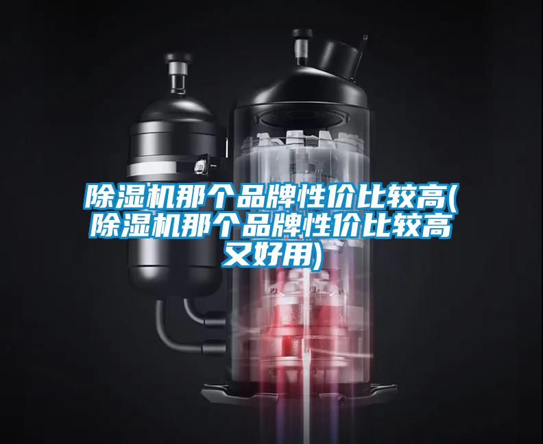 除濕機(jī)那個品牌性價比較高(除濕機(jī)那個品牌性價比較高又好用)