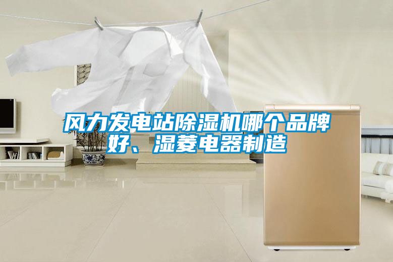風(fēng)力發(fā)電站除濕機(jī)哪個(gè)品牌好、濕菱電器制造