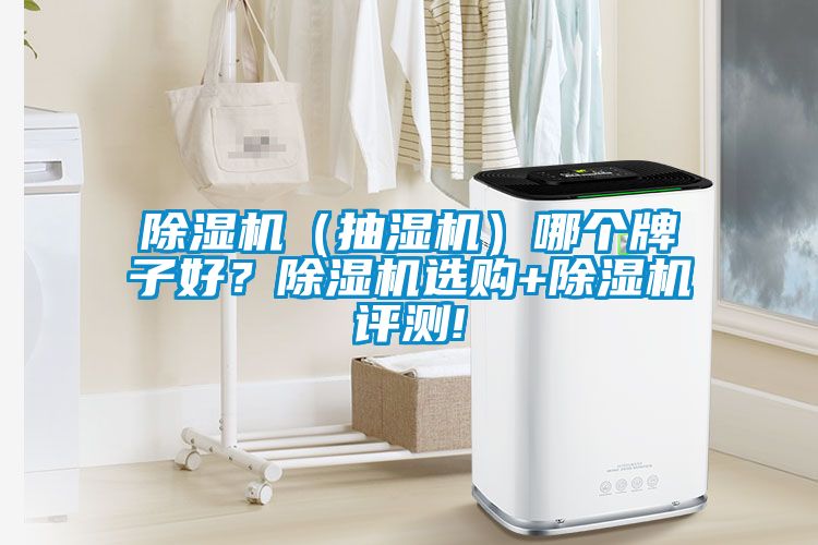 除濕機（抽濕機）哪個牌子好？除濕機選購+除濕機評測!
