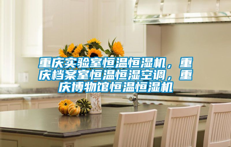 重慶實驗室恒溫恒濕機，重慶檔案室恒溫恒濕空調，重慶博物館恒溫恒濕機