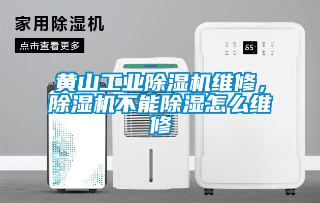 黃山工業(yè)除濕機(jī)維修，除濕機(jī)不能除濕怎么維修