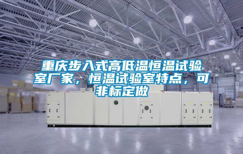 重慶步入式高低溫恒溫試驗(yàn)室廠(chǎng)家，恒溫試驗(yàn)室特點(diǎn)，可非標(biāo)定做
