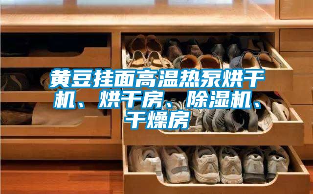 黃豆掛面高溫熱泵烘干機、烘干房、除濕機、干燥房