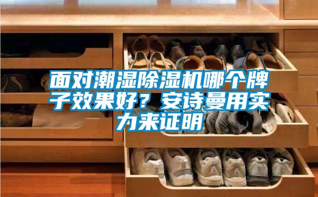 面對(duì)潮濕除濕機(jī)哪個(gè)牌子效果好？安詩(shī)曼用實(shí)力來證明