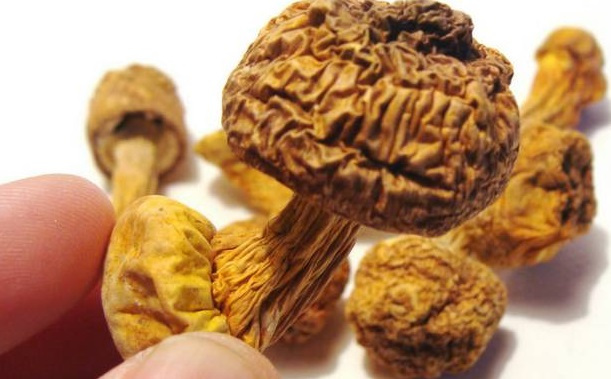 巴西菇、姬松茸烘干機-怎樣烘干色澤好且菇體褶片完整？