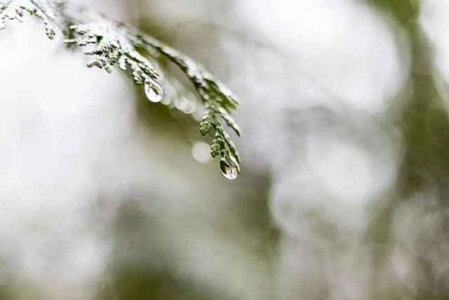 空氣濕度大帶來的危害有哪些，你知道嗎？