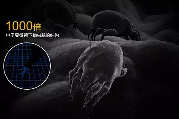 螨蟲高發(fā)季，家用除濕機除螨有妙計！
