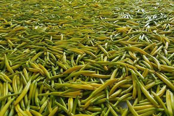 無硫金針菜烘干如何保持品相？不發(fā)黑？