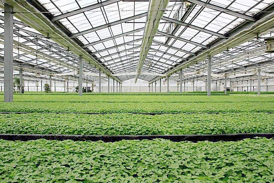 除濕器如何解決高濕度、多種危害的溫室除濕問(wèn)題？